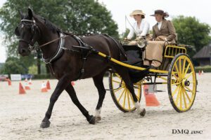 Liliana Gorska-Szuster