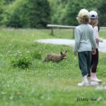 A fox approaches children looking for food