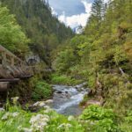 Spectacular view of the bridge with a mountain stream