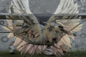 The photo is a mix of an airplane photograph and a mural.