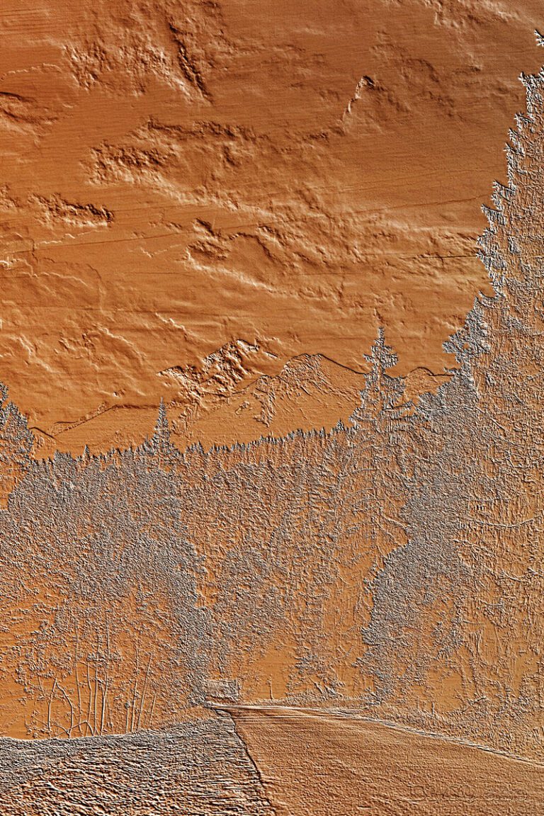 The mountain atmosphere with highly detailed trees and the vast sky carved in wood.