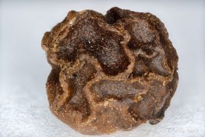 Black pepper in macro photography