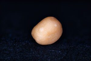 White mustard in macro photography