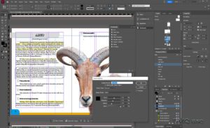 Screen of InDesign CC with work on the book on the topic