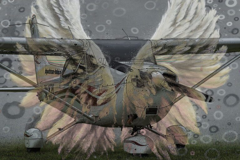 Picture of an airplane incorporated into wings painted on the wall